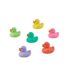 Happy “Quacking” in Bath